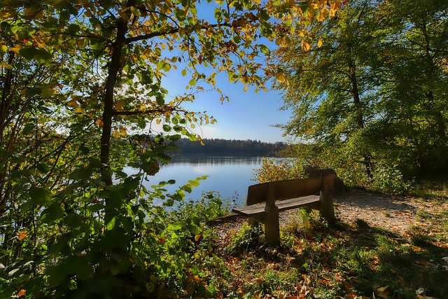 CBA广东队连续三场胜利